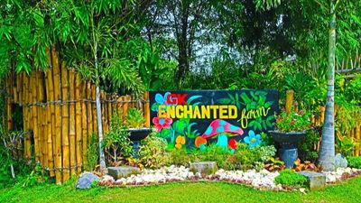 1-Day Philippines: GK Enchanted Farm – Bulacan Agri-Tourism Experience - Image - 9888